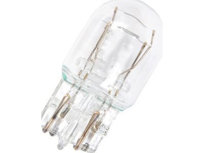 GM 13500813 Run Lamp Bulb