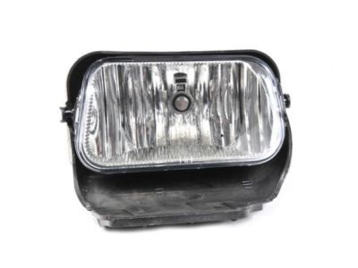 GM 15791434 Fog Lamp Assembly