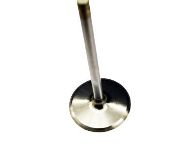 GM 12645279 Intake Valve