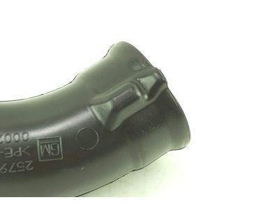 GM 25796006 Rear Duct