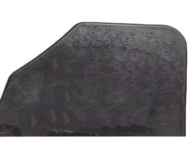 GM 25829131 Front Extension