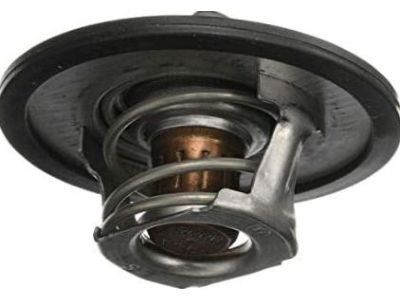 GM 10190925 Thermostat