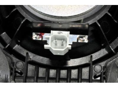 GM 84190346 Rear Door Speaker