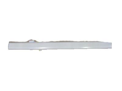 GM 25991767 Body Side Molding