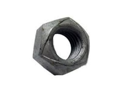 GM 11516073 Buckle Nut