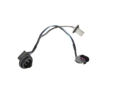 GM 15782378 Socket & Wire