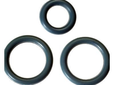 GM 17113552 Seal Kit, Fuel Injection Fuel Rail