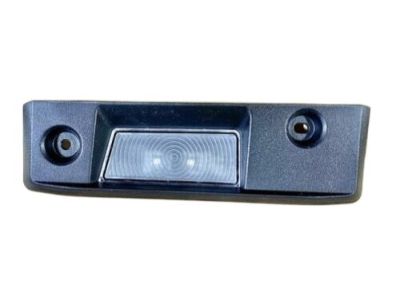 GM 84238354 Cargo Lamp