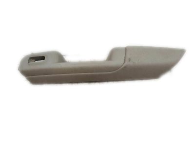 GM 15091856 Armrest, Rear Side Door