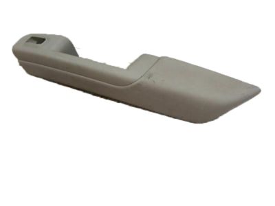 GM 15091856 Armrest, Rear Side Door