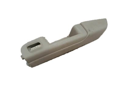 GM 15091856 Armrest, Rear Side Door