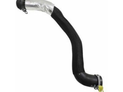 GM 19258622 Lower Hose