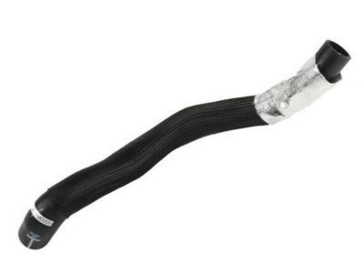 GM 19258622 Lower Hose