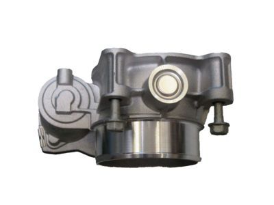 GM 12670834 Throttle Body