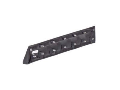 GM 23134746 Lower Molding