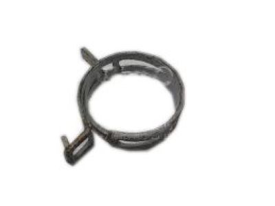 GM 11083891 Clamp, Intake Manifold
