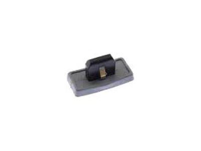 GM 11609445 Rear Molding Clip