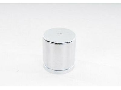 GM 15926281 Caliper Piston