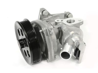 GM 12690253 Water Pump