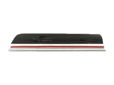 GM 22760308 Body Side Molding