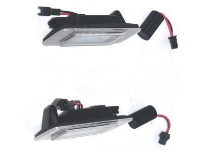 GM 13578958 License Lamp