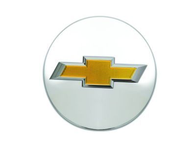 GM 20942002 Center Cap