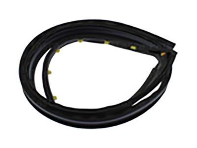 GM 20816083 Drip Weatherstrip