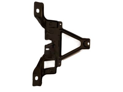 GM 10247776 Support Asm-Hood Primary Latch