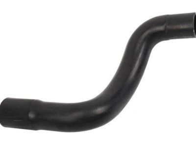 GM 15835973 Lower Hose