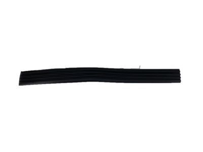 GM 15740121 Body Side Molding