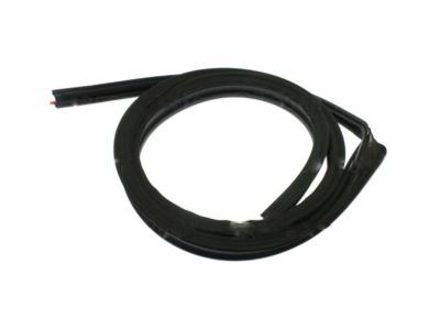 GM 21993938 Upper Weatherstrip