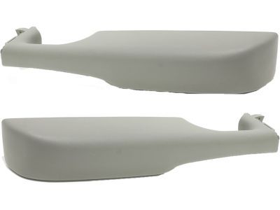 GM 88981548 Armrest Asm, Front Side Door *Pewter