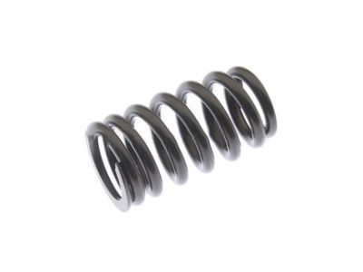 GM 55571551 Valve Springs