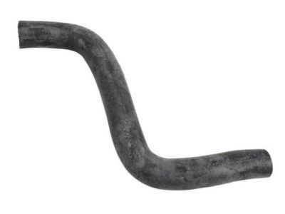 GM 96536598 Lower Hose