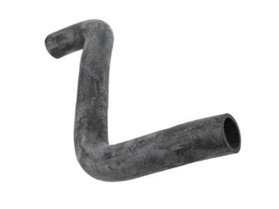 GM 96536598 Lower Hose