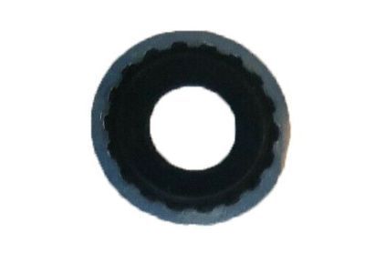 GM 10108689 Seal-Engine Coolant Air Bleed Pipe