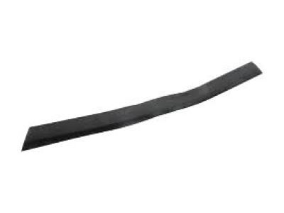 GM 12335676 Molding