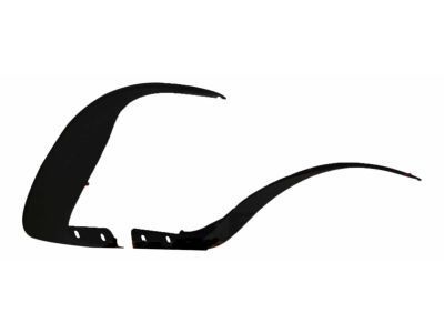 GM 15818636 Wheel Opening Molding