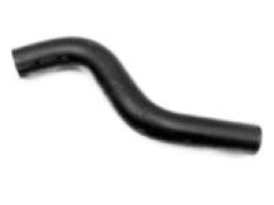 GM 91173171 Hose, Heater Outlet