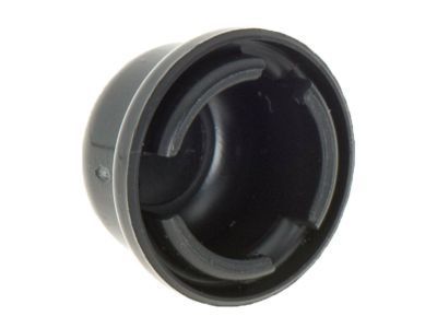 GM 22699534 Wiper Arm Assembly Cap