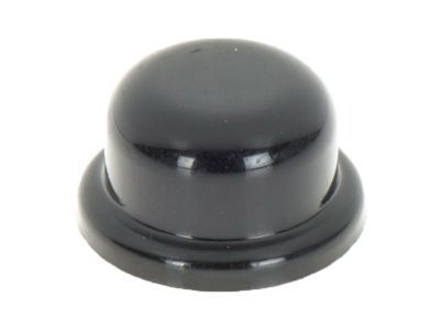 GM 22699534 Wiper Arm Assembly Cap