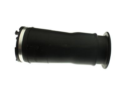 GM 15938306 Air Spring