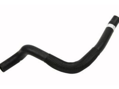 GM 22853960 Lower Hose