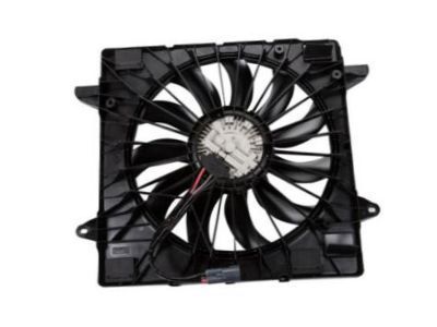 GM 23419653 Fan Module