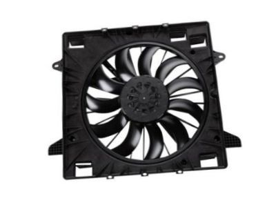 GM 23419653 Fan Module