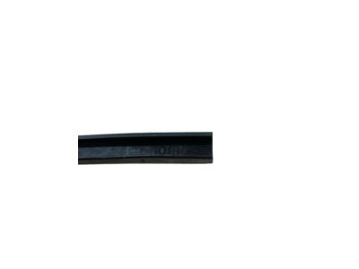 GM 10180417 Guide-Front Side Door Window Rear