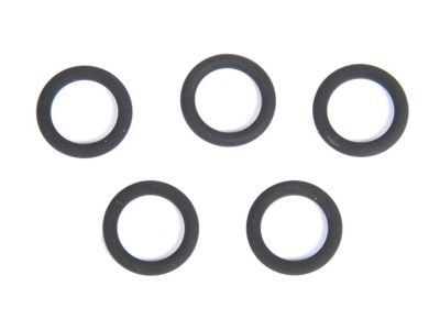 GM 90467373 Dipstick Seal