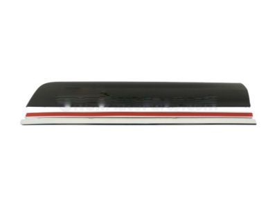 GM 22760310 Body Side Molding