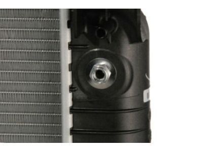 GM 19256745 Radiator Assembly