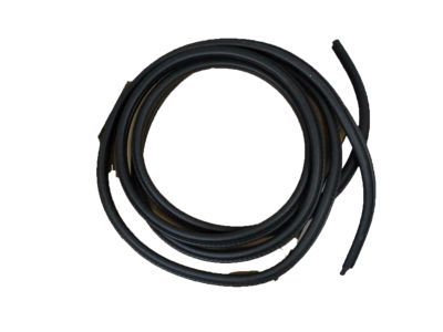 GM 15063153 Weatherstrip